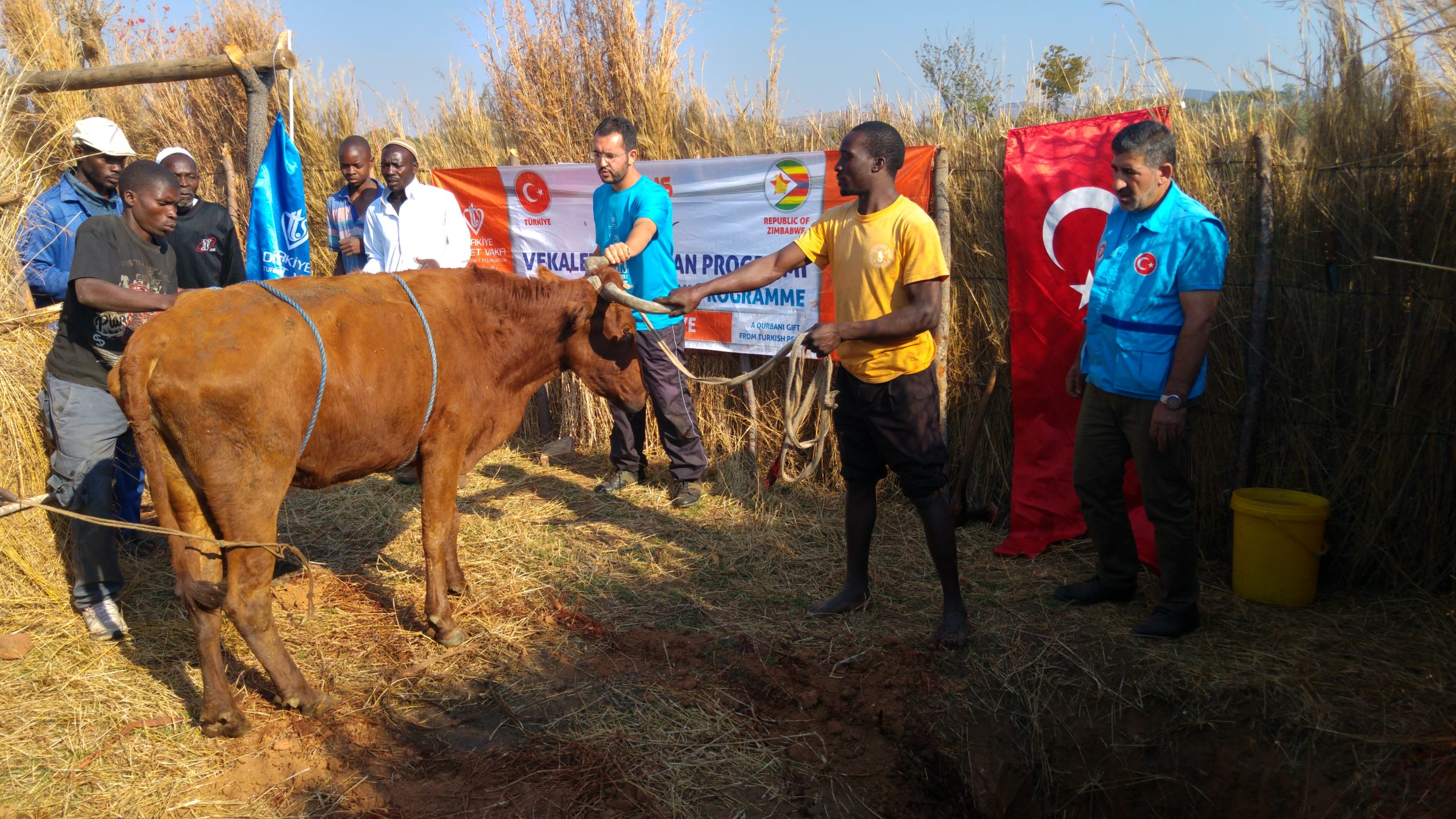 Kurban Bağışı Nasıl Yapılır ve Kimlere Ulaşır?