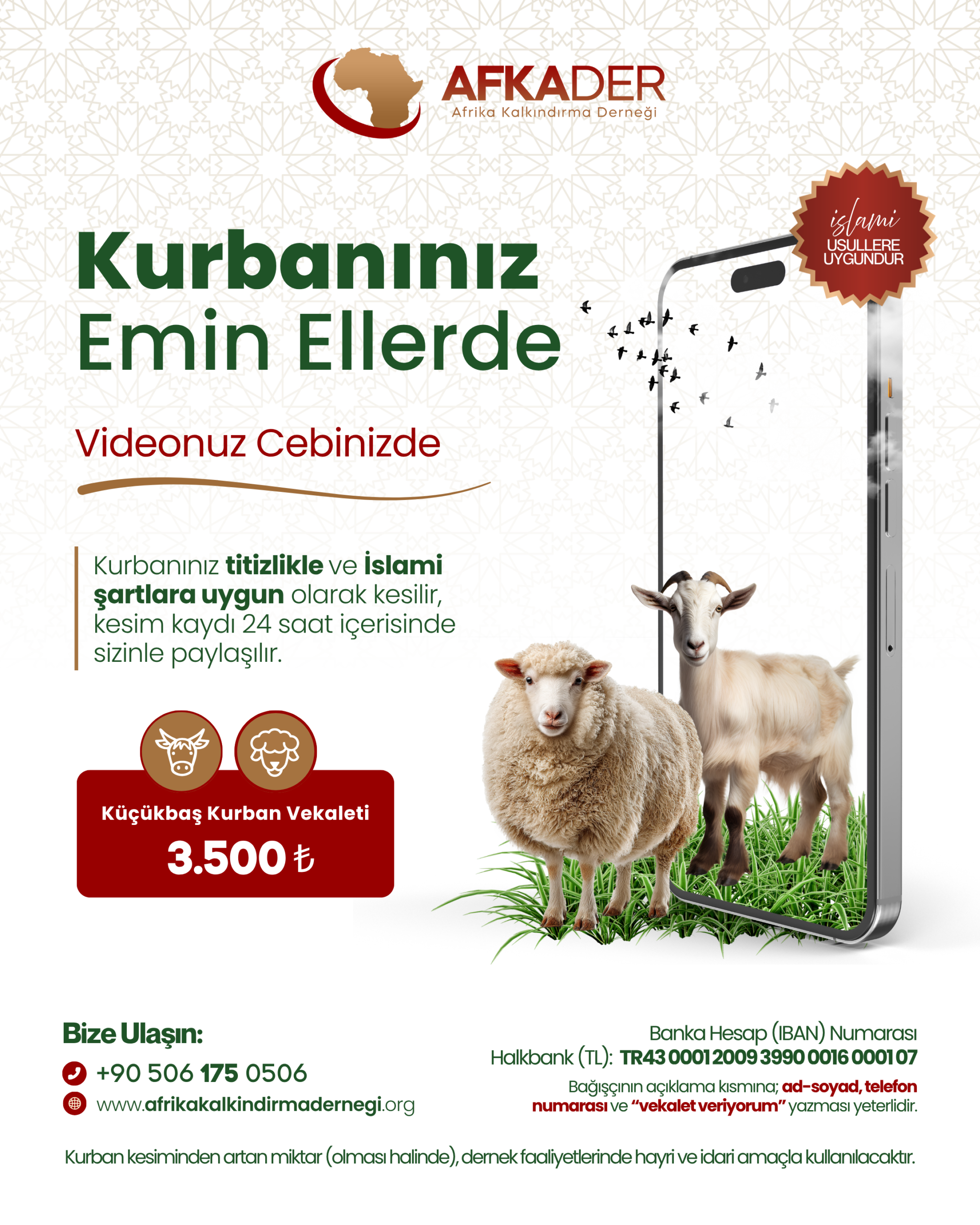 Kurban Organizasyonu